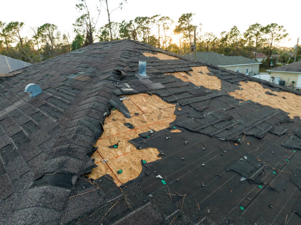 Best Storm Damage Roof Repair  in Gloverville, SC